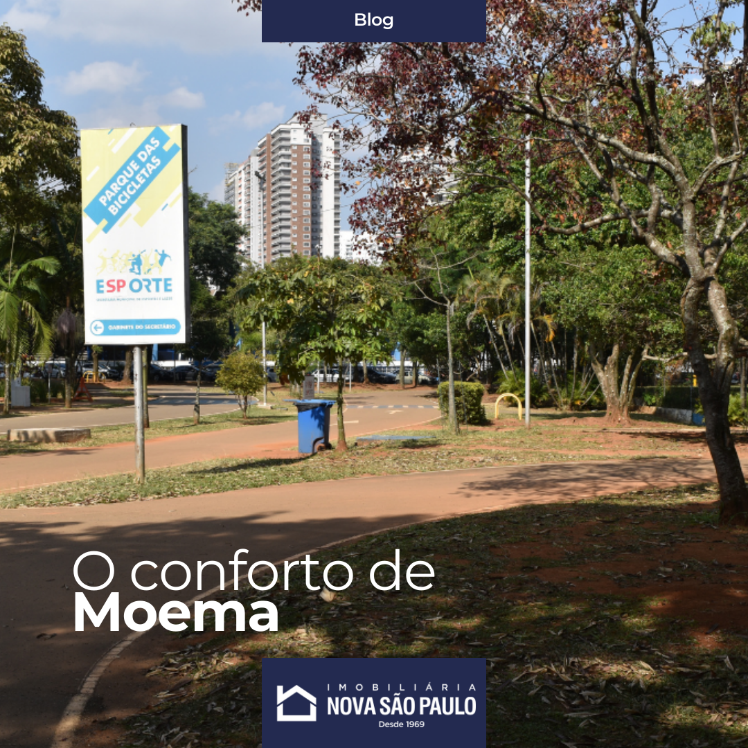 Morar em Moema: Conforto, Educação e Qualidade de Vida